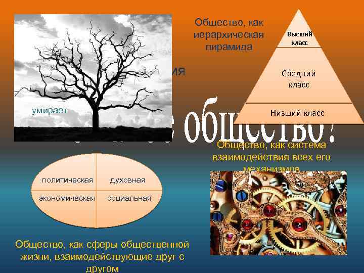 Общество, как этап исторического развития Общество, как иерархическая пирамида Высший класс цветёт умирает рождается