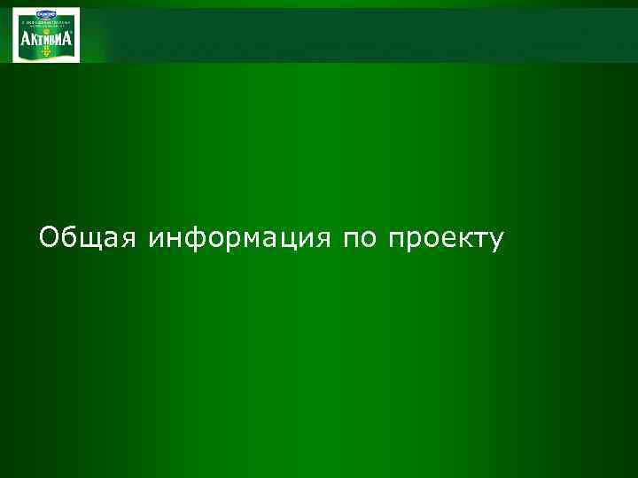 Общая информация по проекту 
