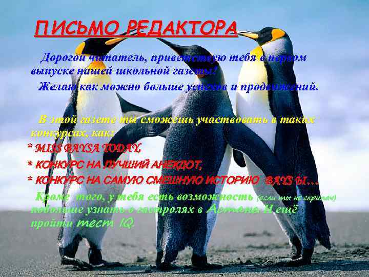 ПИСЬМО РЕДАКТОРА Дорогой читатель, приветствую тебя в первом выпуске нашей школьной газеты! Желаю как