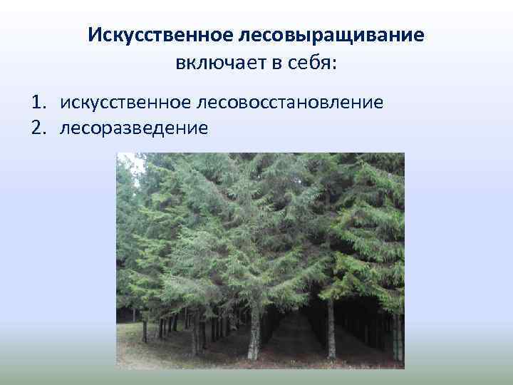 Искусственное лесовыращивание включает в себя: 1. искусственное лесовосстановление 2. лесоразведение 