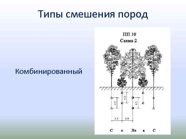 Типы смешения пород Комбинированный 