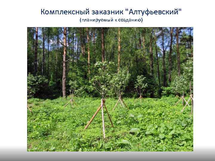 Комплексный заказник "Алтуфьевский" (планируемый к созданию) 