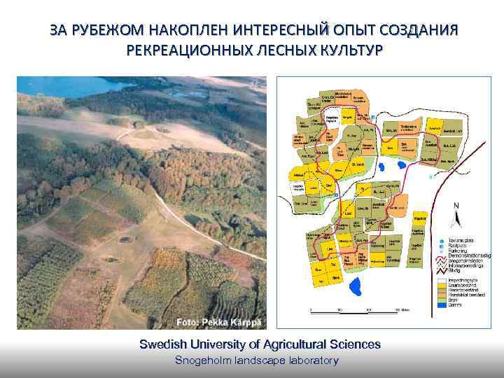 ЗА РУБЕЖОМ НАКОПЛЕН ИНТЕРЕСНЫЙ ОПЫТ СОЗДАНИЯ РЕКРЕАЦИОННЫХ ЛЕСНЫХ КУЛЬТУР Swedish University of Agricultural Sciences