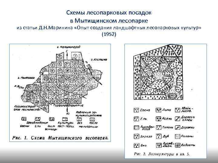 Схемы лесопарковых посадок в Мытищинском лесопарке из статьи Д. Н. Маринина «Опыт создания ландшафтных