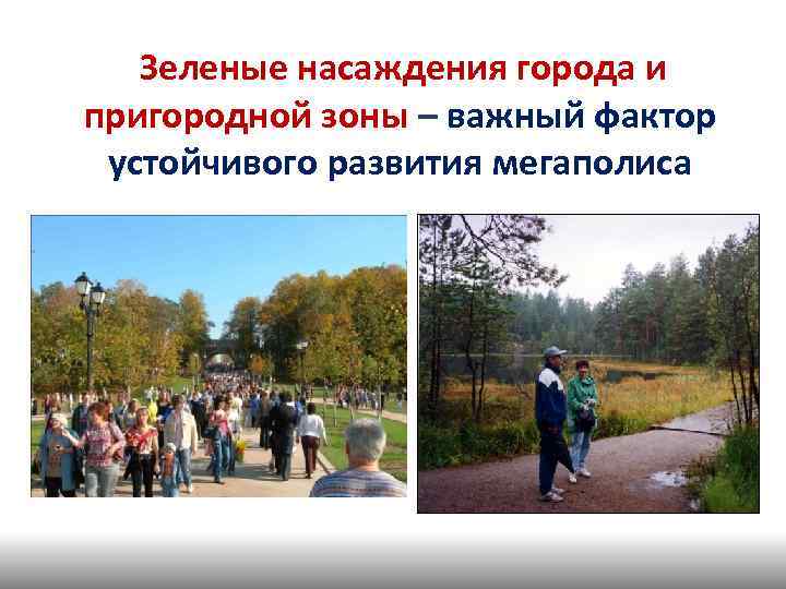  Зеленые насаждения города и пригородной зоны – важный фактор устойчивого развития мегаполиса 