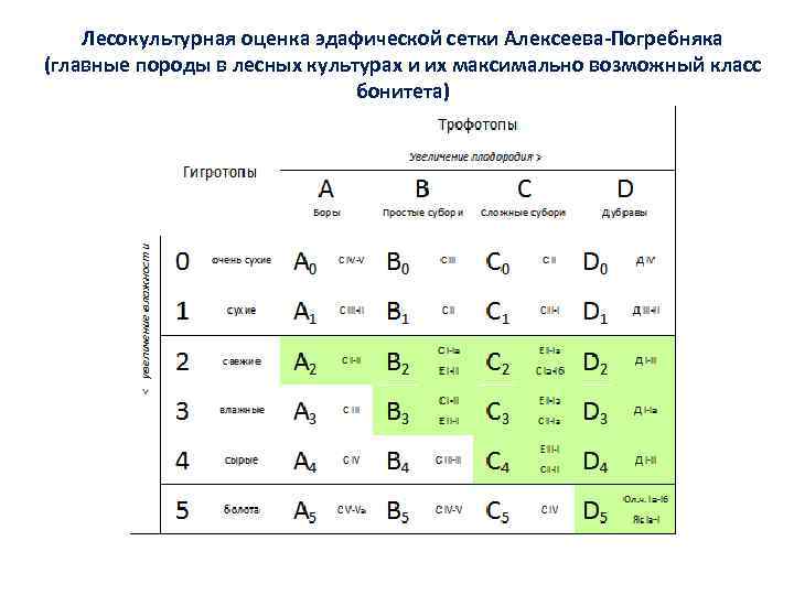 Лесокультурная оценка эдафической сетки Алексеева-Погребняка (главные породы в лесных культурах и их максимально возможный