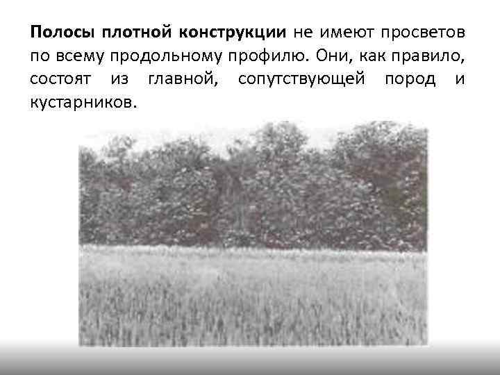 Полосы плотной конструкции не имеют просветов по всему продольному профилю. Они, как правило, состоят