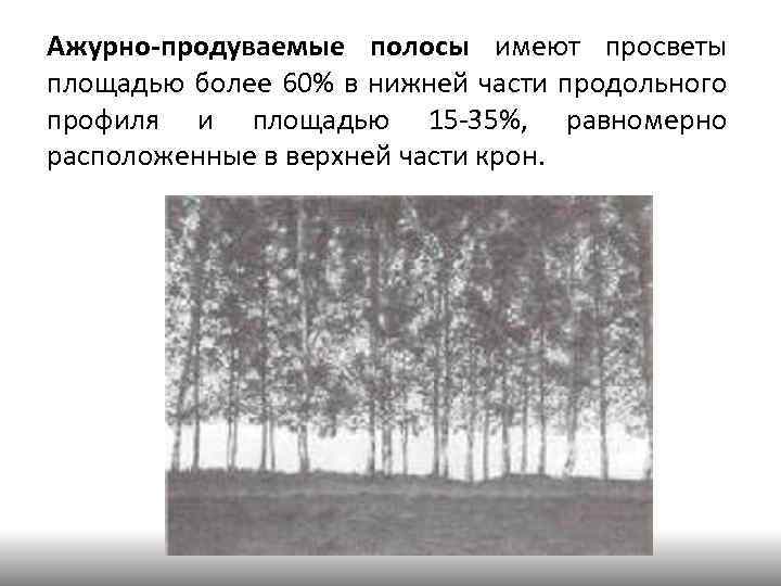 Ажурно-продуваемые полосы имеют просветы площадью более 60% в нижней части продольного профиля и площадью