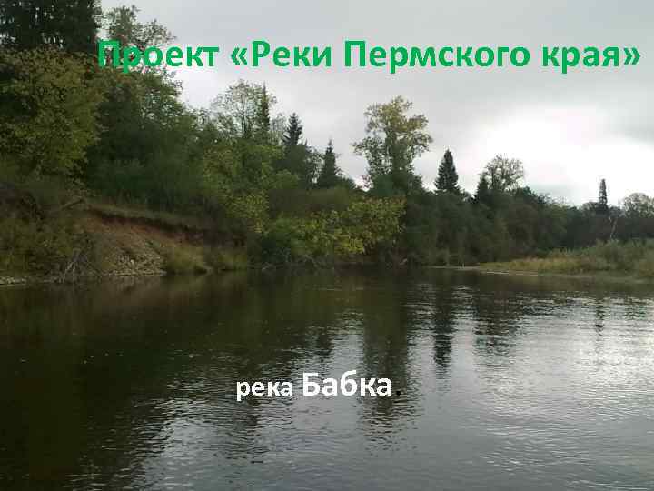 Проект «Реки Пермского края» река Бабка. 