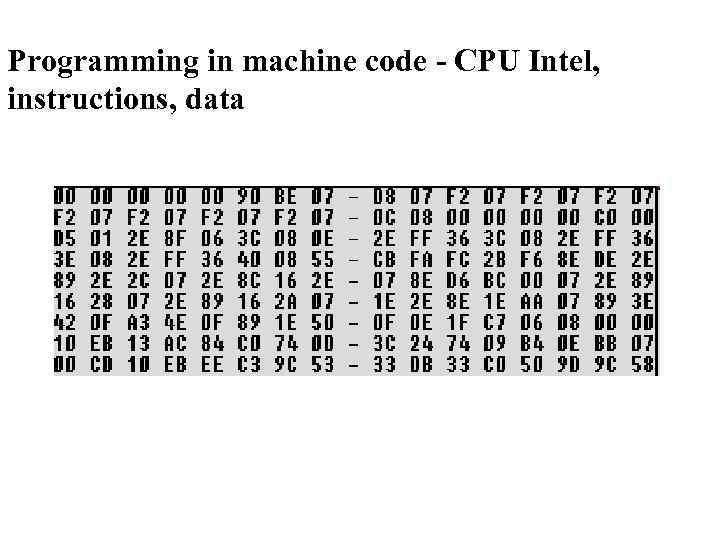 Programming in machine code - CPU Intel, instructions, data 