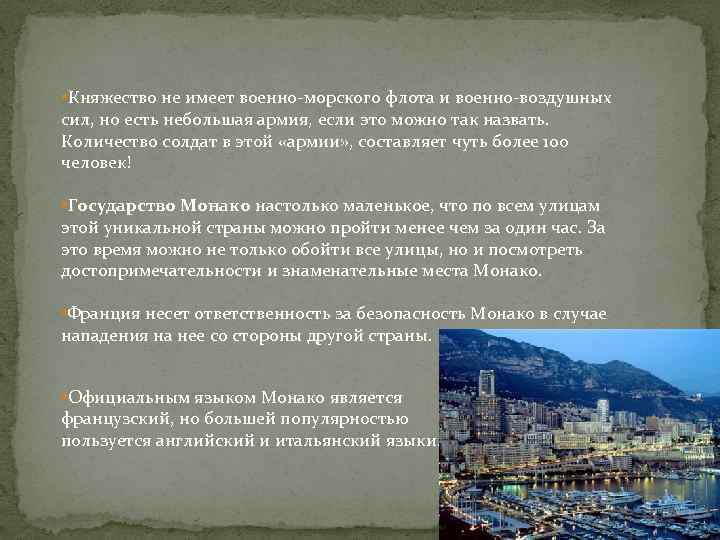  • Княжество не имеет военно-морского флота и военно-воздушных сил, но есть небольшая армия,