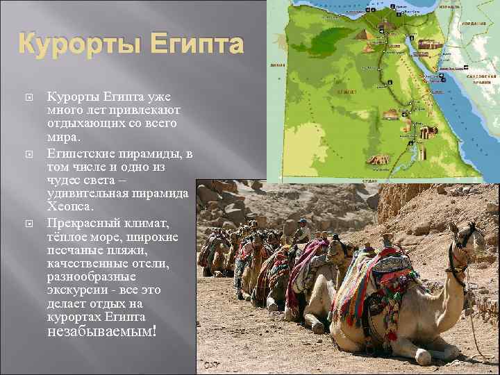 Курорты Египта Курорты Египта уже много лет привлекают отдыхающих со всего мира. Египетские пирамиды,