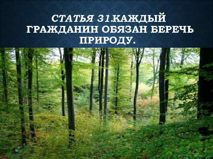 СТАТЬЯ 31. КАЖДЫЙ ГРАЖДАНИН ОБЯЗАН БЕРЕЧЬ ПРИРОДУ. 