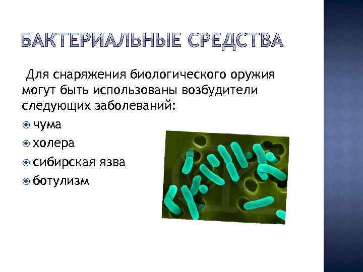 Для снаряжения биологического оружия могут быть использованы возбудители следующих заболеваний: чума холера сибирская язва