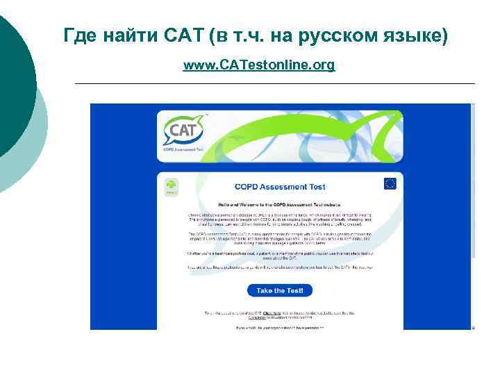 Где найти CAT (в т. ч. на русском языке) www. CATestonline. org 