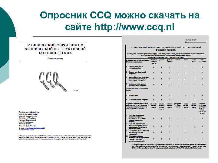 Опросник CCQ можно скачать на сайте http: //www. ccq. nl 