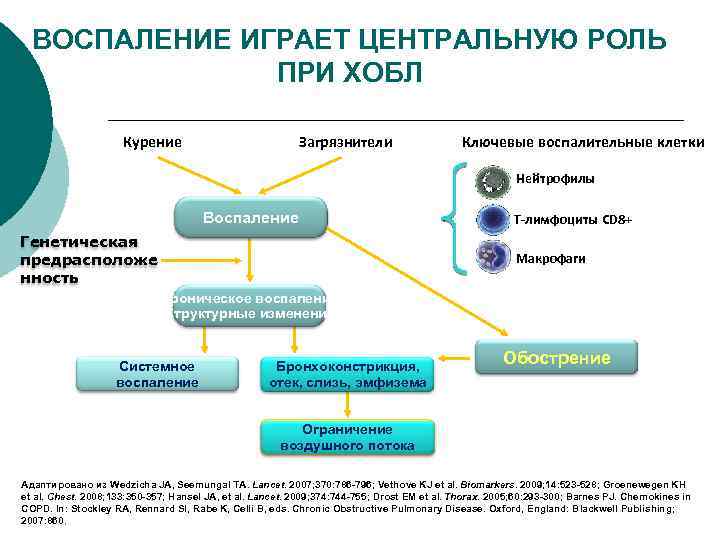 ВОСПАЛЕНИЕ ИГРАЕТ ЦЕНТРАЛЬНУЮ РОЛЬ ПРИ ХОБЛ Курение Загрязнители Ключевые воспалительные клетки Нейтрофилы Воспаление Генетическая