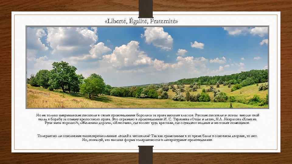  «Liberté, Égalité, Fraternité» Но не только американские писатели в своих произведениях боролись за