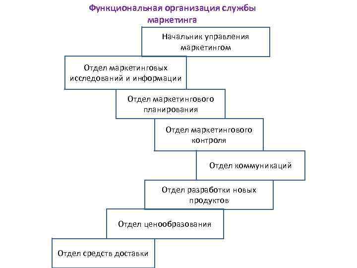 Функциональная организация службы маркетинга Начальник управления маркетингом Отдел маркетинговых исследований и информации Отдел маркетингового