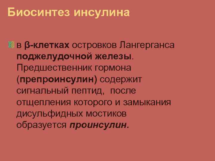 Биосинтез инсулина в β-клетках островков Лангерганса поджелудочной железы. Предшественник гормона (препроинсулин) содержит сигнальный пептид,