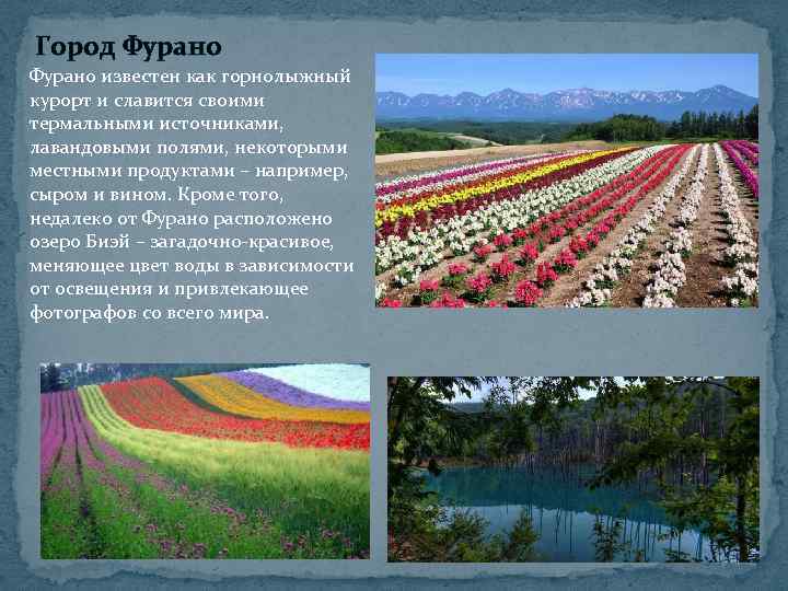 Город Фурано известен как горнолыжный курорт и славится своими термальными источниками, лавандовыми полями, некоторыми