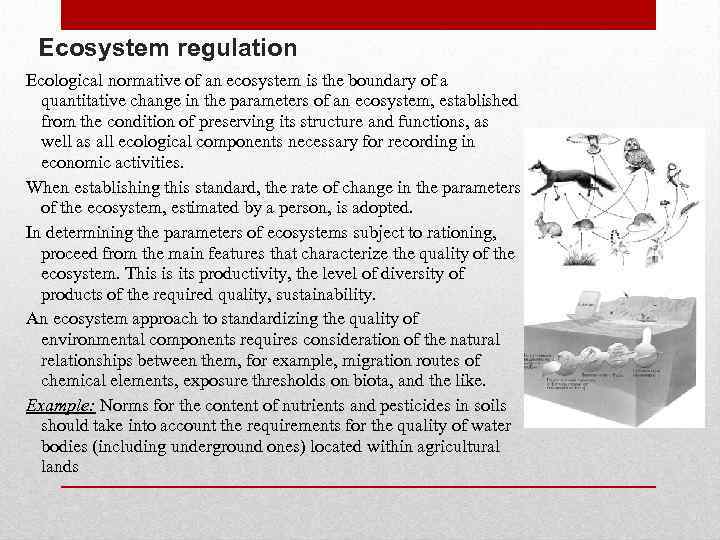 Ecosystem regulation Ecological normative of an ecosystem is the boundary of a quantitative change