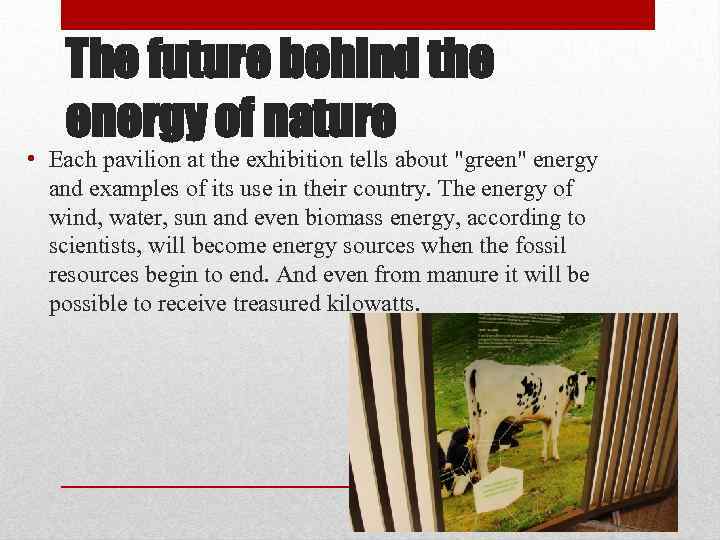 The future behind the energy of nature • Each pavilion at the exhibition tells