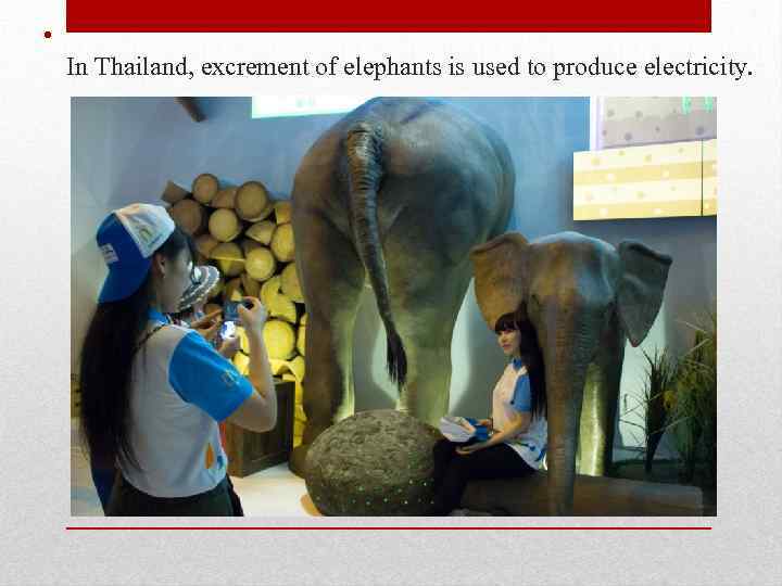  • In Thailand, excrement of elephants is used to produce electricity. 