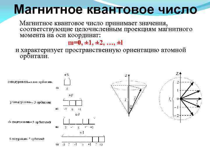 Магнитное квантовое число принимает значения, соответствующие целочисленным проекциям магнитного момента на оси координат: m=0,