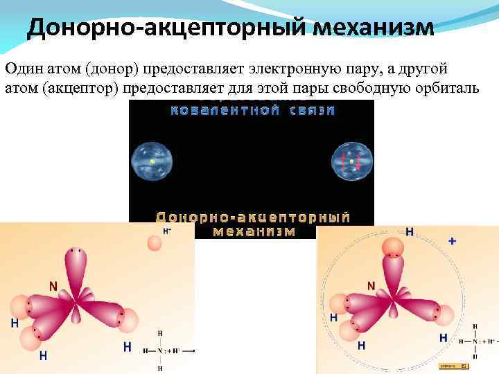 Атом донор электронов