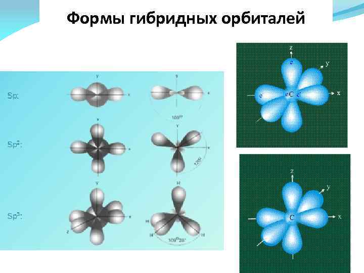 Формы гибридных орбиталей 