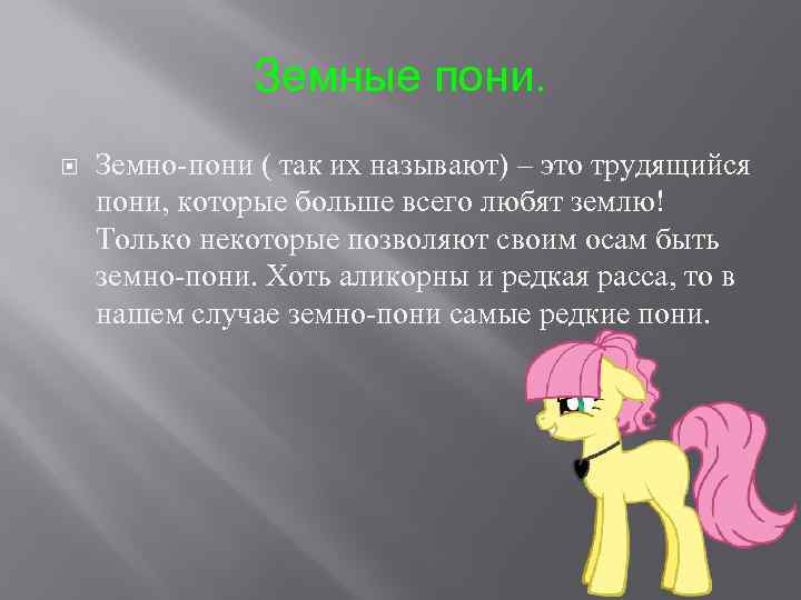 Земные пони. Земно-пони ( так их называют) – это трудящийся пони, которые больше всего