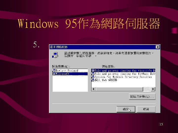 Windows 95作為網路伺服器 5. 15 