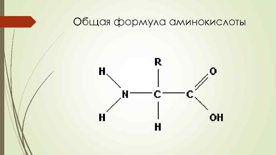 Общая формула аминокислоты 