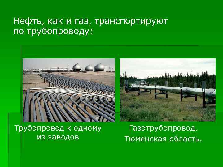 Нефть, как и газ, транспортируют по трубопроводу: Трубопровод к одному из заводов Газотрубопровод. Тюменская