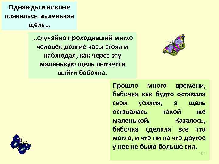 Однажды в коконе появилась маленькая щель… …случайно проходивший мимо человек долгие часы стоял и