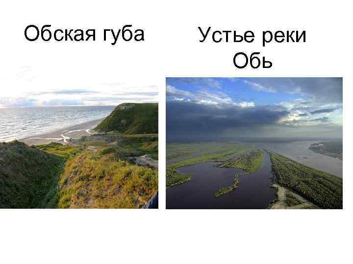 Обь впадает в карское море