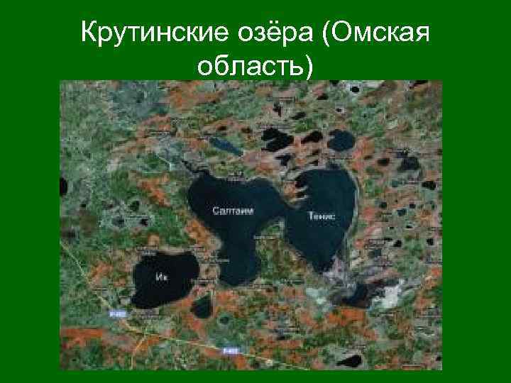 Озеро салтаим омская. Озеро Салтаим Омская область. Озеро Салтаим Крутинский район карта. Озеро ИК Крутинский район. Озеро тенис Крутинский район.