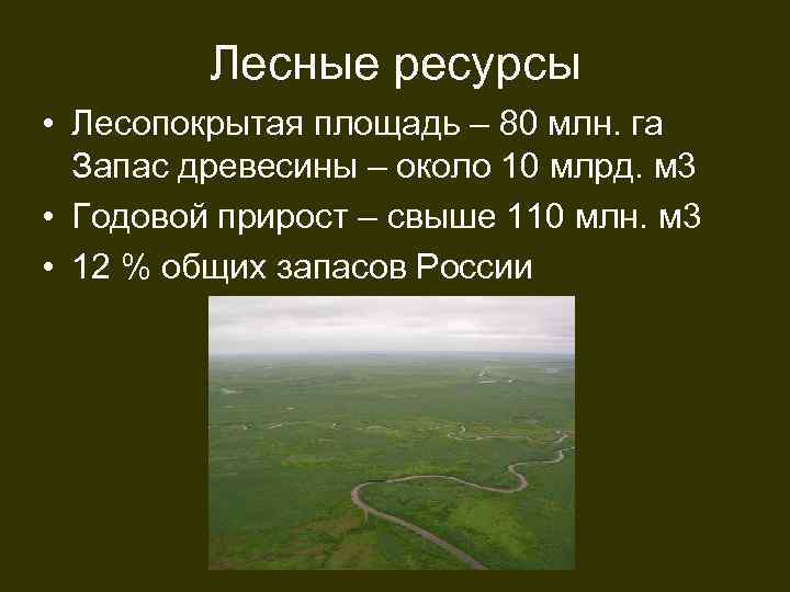 Лесные ресурсы • Лесопокрытая площадь – 80 млн. га Запас древесины – около 10