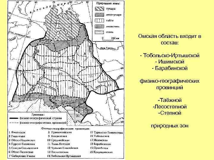 Природные зоны сибирской равнины 8 класс. Природные зоны Западно сибирской равнины. Природные зоны Западно сибирской равнины на карте. Природные зоны Западной Сибири карта. Климатические зоны Западно сибирской равнины.