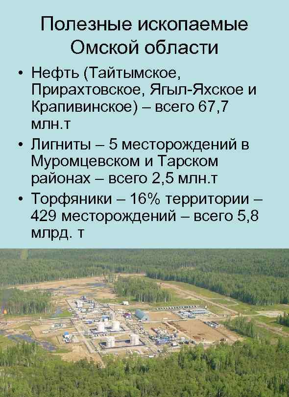 Полезные ископаемые Омской области • Нефть (Тайтымское, Прирахтовское, Ягыл-Яхское и Крапивинское) – всего 67,