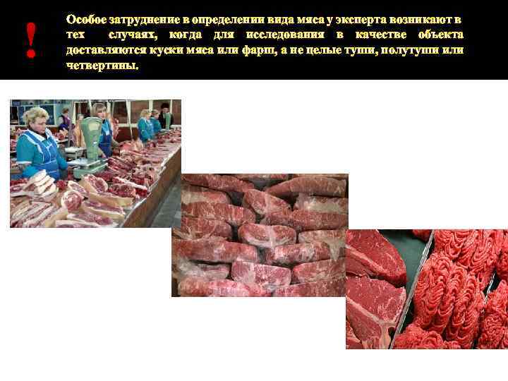 ! Особое затруднение в определении вида мяса у эксперта возникают в тех случаях, когда