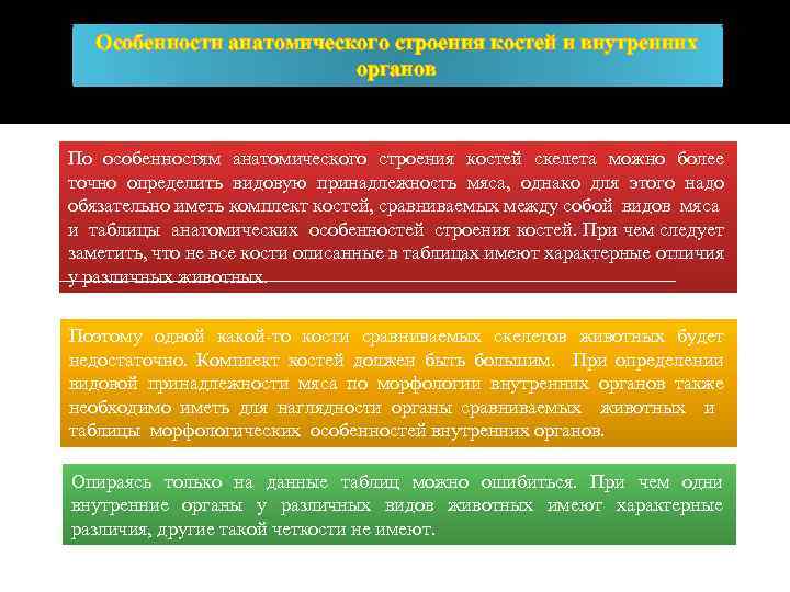Особенности анатомического строениявидовой принадлежности Органолептические методы определения костей и внутренних органов продуктов убоя животных