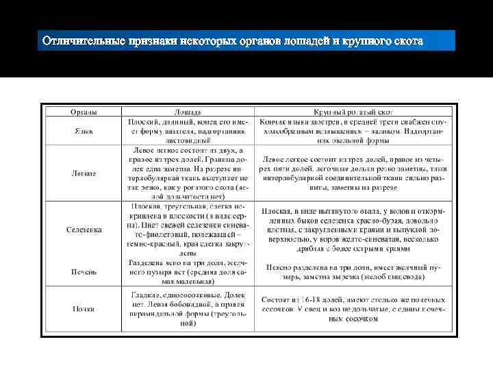Отличительные признаки некоторых органов лошадей и крупного скота 
