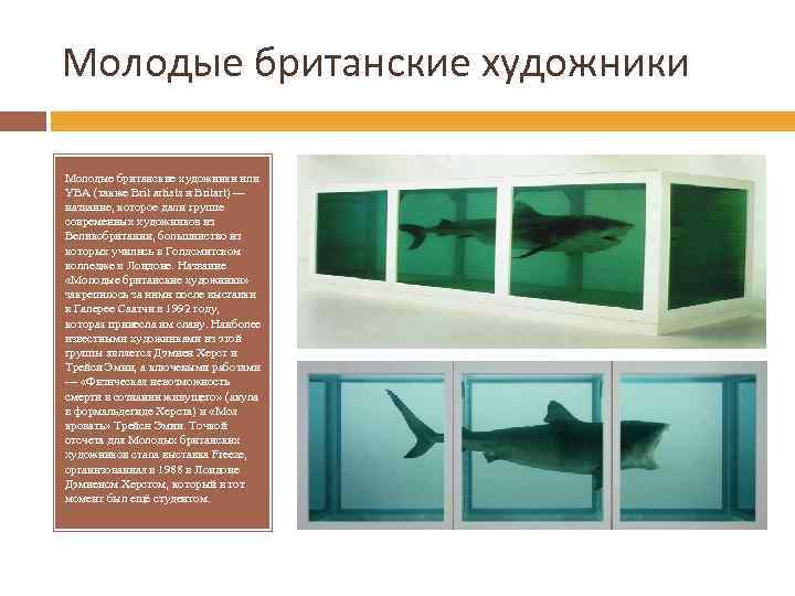 Молодые британские художники или YBA (также Brit artists и Britart) — название, которое дали