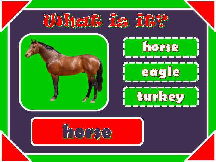 What is it? horse eagle turkey horse 