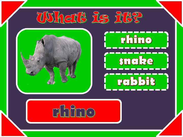 What is it? rhino snake rabbit rhino 