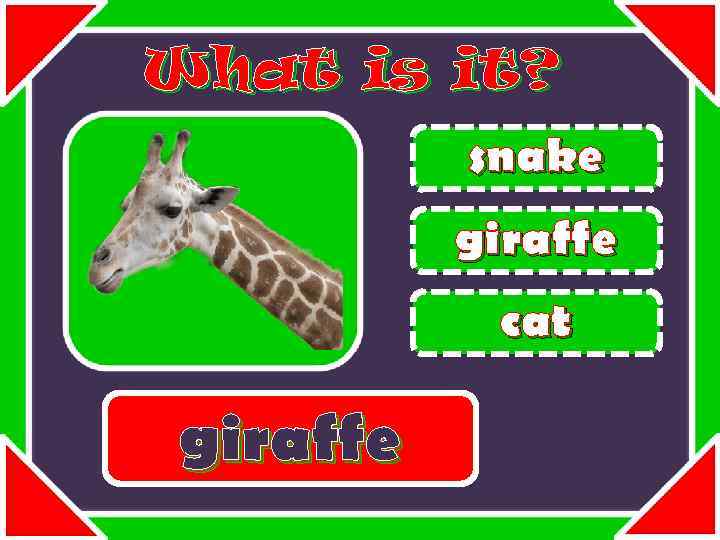 What is it? snake giraffe cat giraffe 