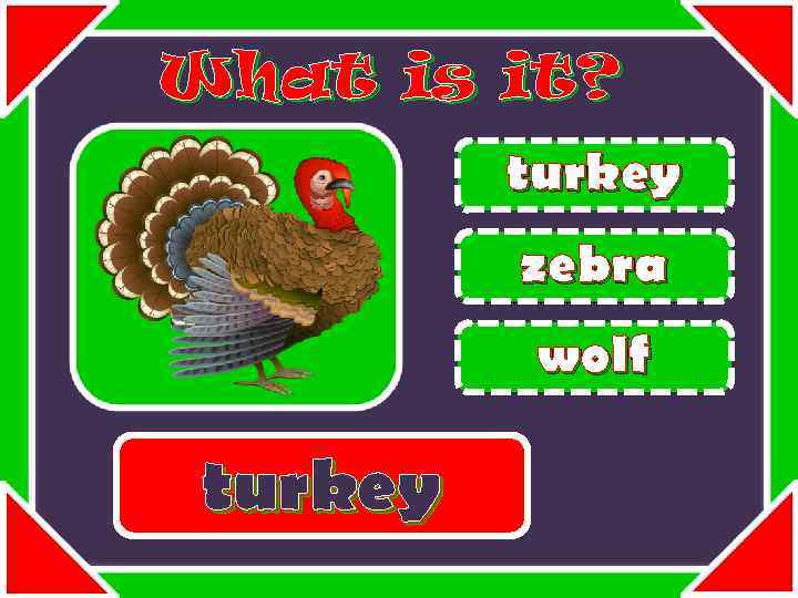 What is it? turkey zebra wolf turkey 