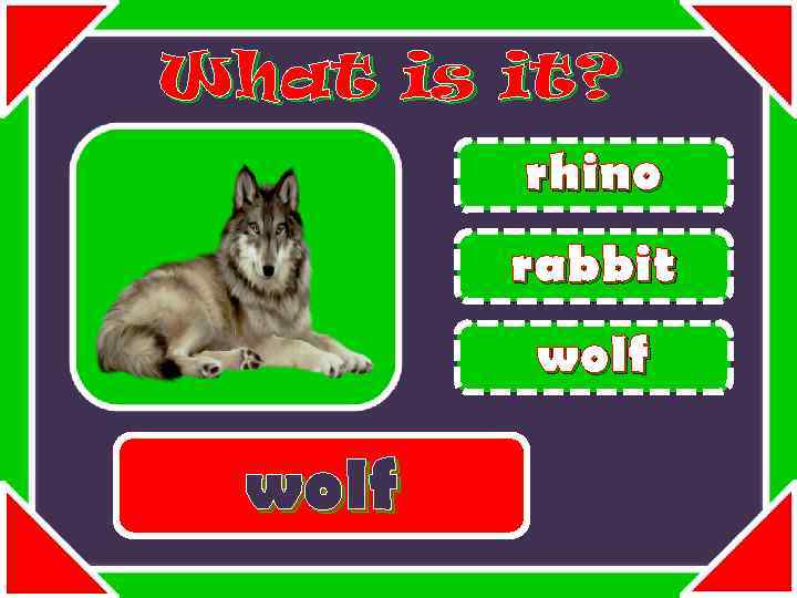 What is it? rhino rabbit wolf 